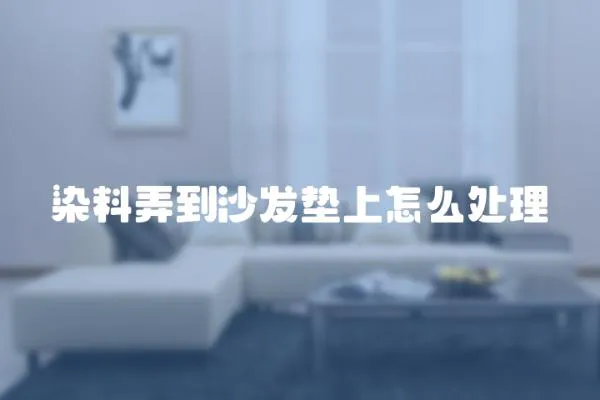 染料弄到沙發(fā)墊上怎么處理