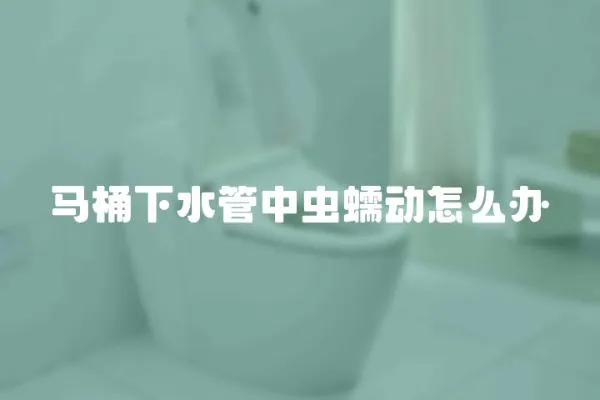 馬桶下水管中蟲蠕動怎么辦