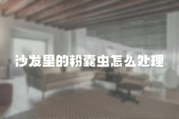 沙發里的粉囊蟲怎么處理