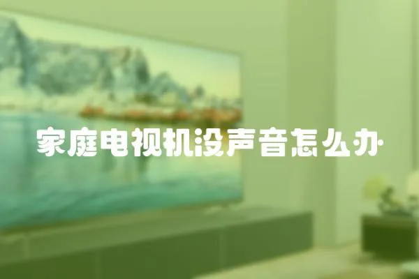 家庭電視機沒聲音怎么辦