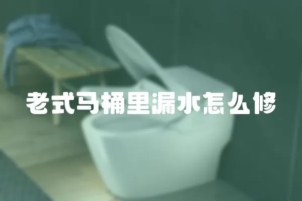 老式馬桶里漏水怎么修