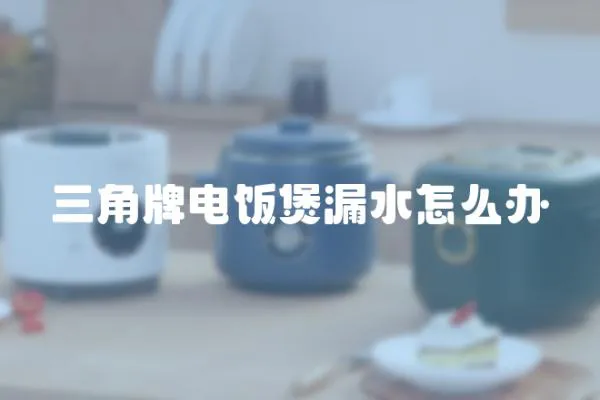 三角牌電飯煲漏水怎么辦