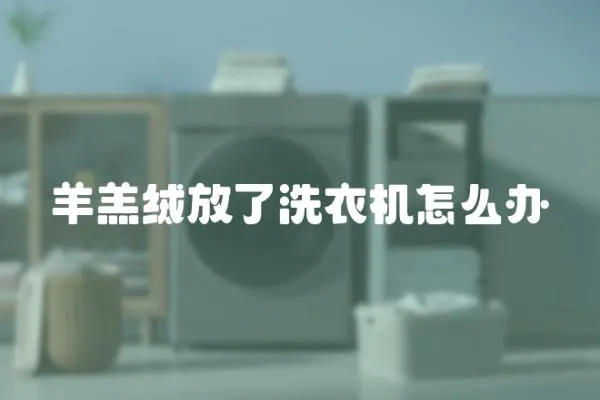 羊羔絨放了洗衣機怎么辦