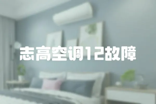 志高空調12故障