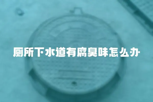 廁所下水道有腐臭味怎么辦