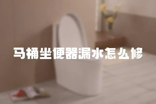 馬桶坐便器漏水怎么修