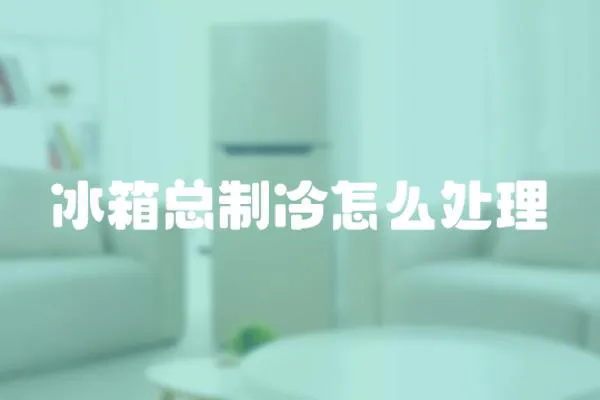 冰箱總制冷怎么處理