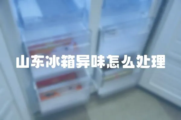 山東冰箱異味怎么處理