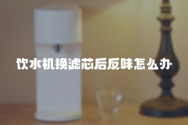 飲水機換濾芯后反味怎么辦