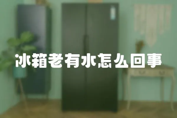 冰箱老有水怎么回事