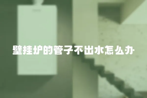 壁掛爐的管子不出水怎么辦