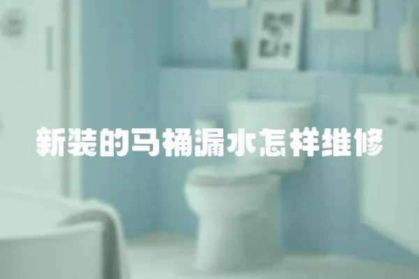 新裝的馬桶漏水怎樣維修