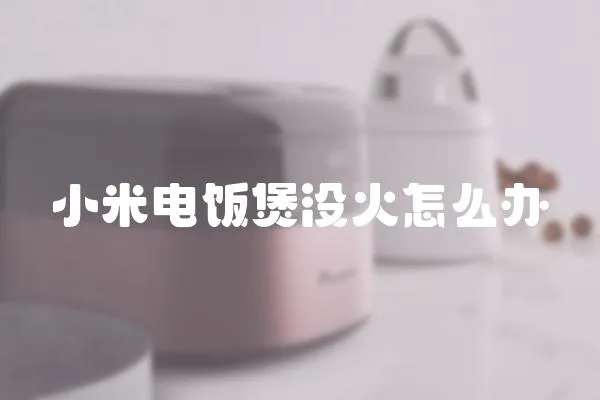 小米電飯煲沒火怎么辦