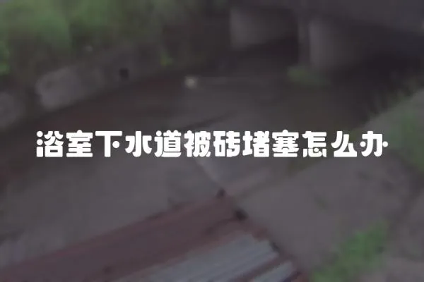 浴室下水道被磚堵塞怎么辦