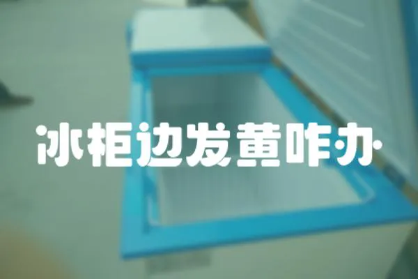 冰柜邊發黃咋辦