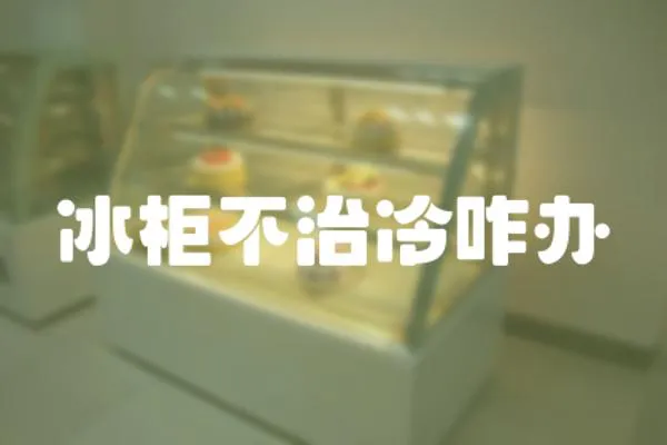 冰柜不治冷咋辦