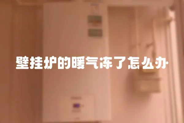 壁掛爐的暖氣凍了怎么辦