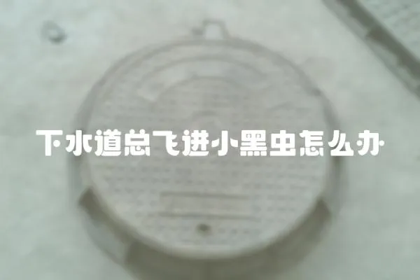 下水道總飛進小黑蟲怎么辦