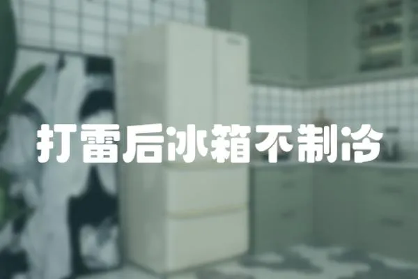 打雷后冰箱不制冷