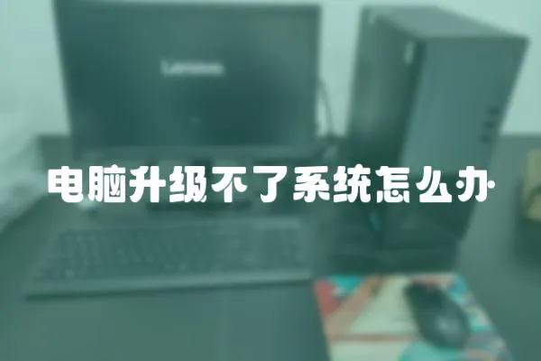 電腦升級不了系統(tǒng)怎么辦