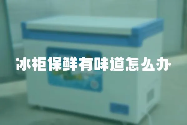 冰柜保鮮有味道怎么辦