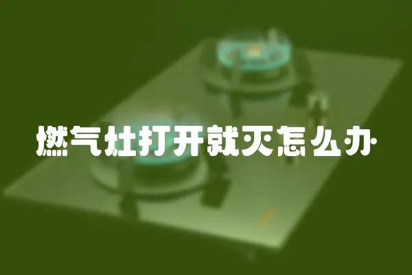 燃?xì)庠畲蜷_就滅怎么辦