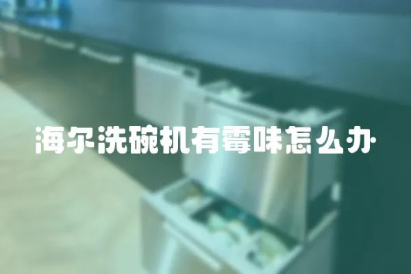 海爾洗碗機(jī)有霉味怎么辦