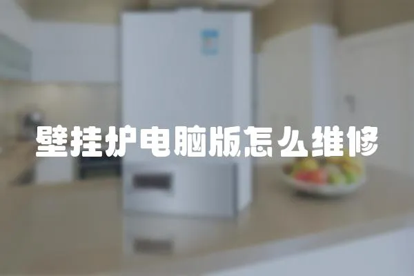 壁掛爐電腦版怎么維修