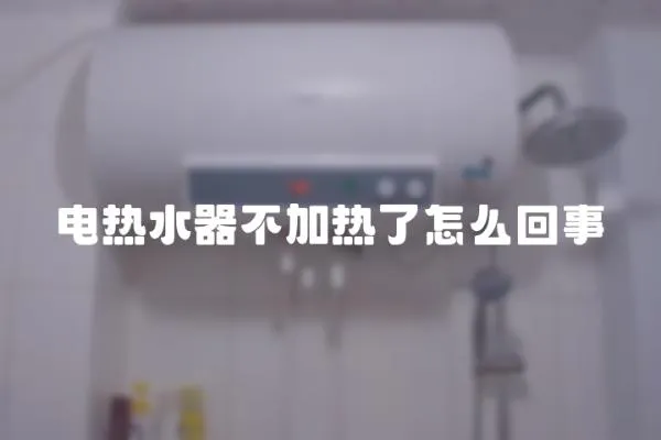 電熱水器不加熱了怎么回事