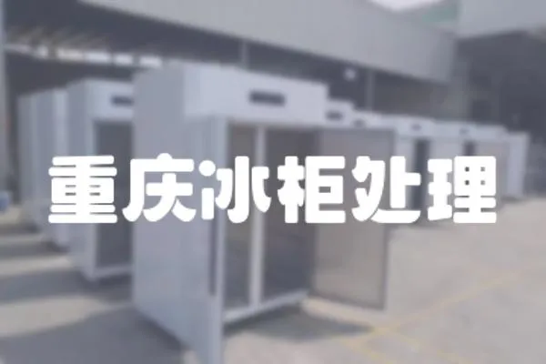 重慶冰柜處理
