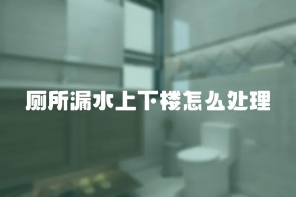 廁所漏水上下樓怎么處理
