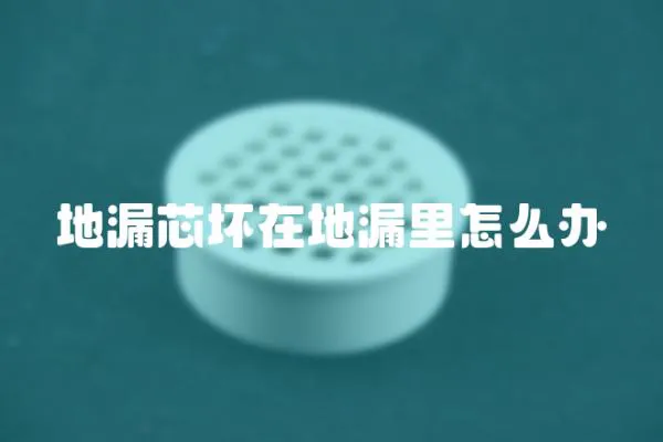 地漏芯壞在地漏里怎么辦