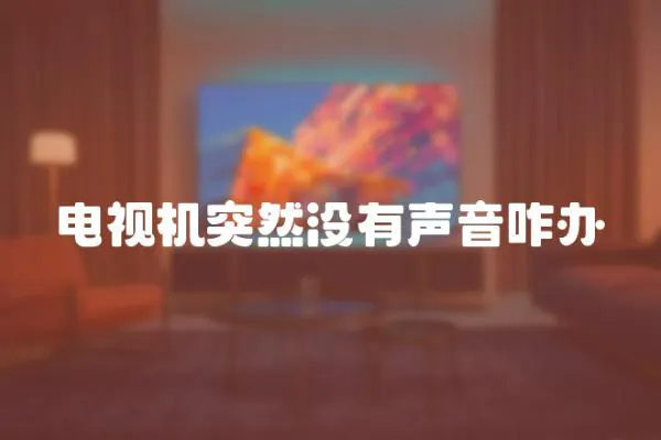 電視機突然沒有聲音咋辦