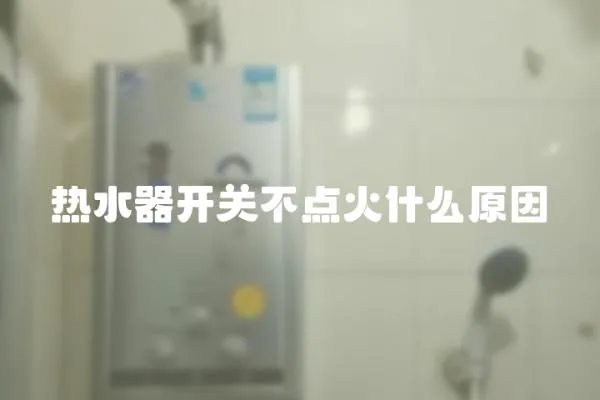 熱水器開關不點火什么原因