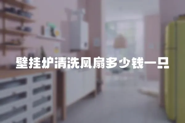 壁掛爐清洗風扇多少錢一只