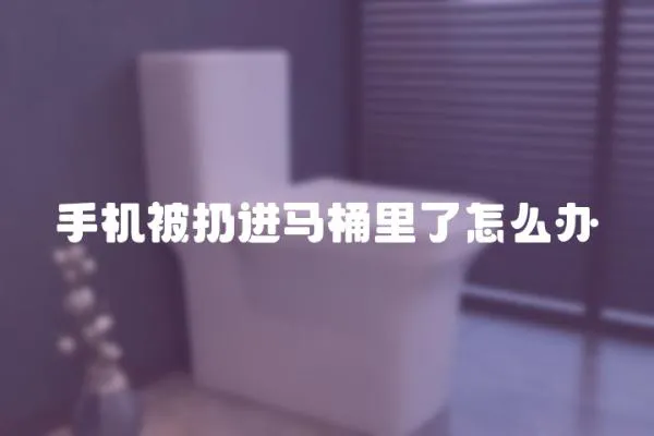手機被扔進馬桶里了怎么辦