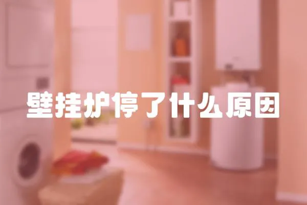 壁掛爐停了什么原因