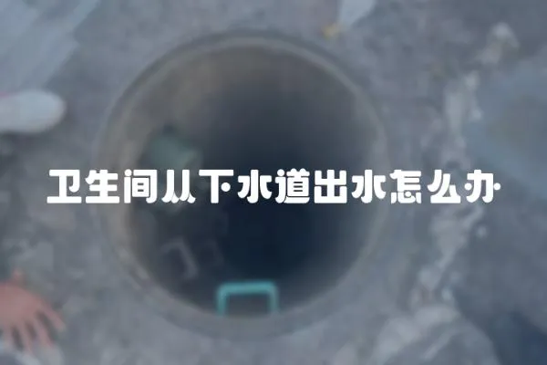 衛(wèi)生間從下水道出水怎么辦