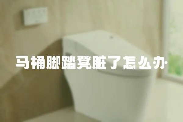 馬桶腳踏凳臟了怎么辦