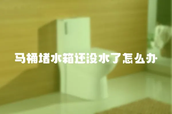馬桶堵水箱還沒水了怎么辦