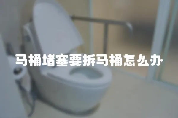 馬桶堵塞要拆馬桶怎么辦