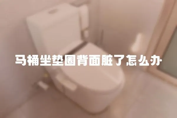 馬桶坐墊圈背面臟了怎么辦