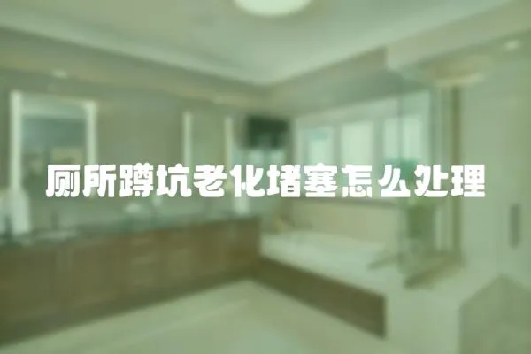 廁所蹲坑老化堵塞怎么處理