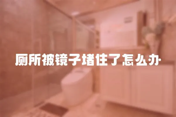 廁所被鏡子堵住了怎么辦