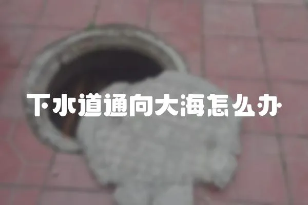 下水道通向大海怎么辦