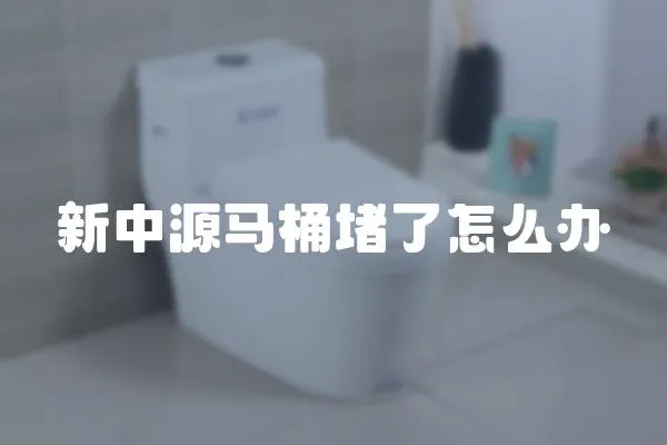 新中源馬桶堵了怎么辦