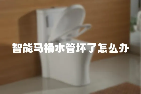智能馬桶水管壞了怎么辦
