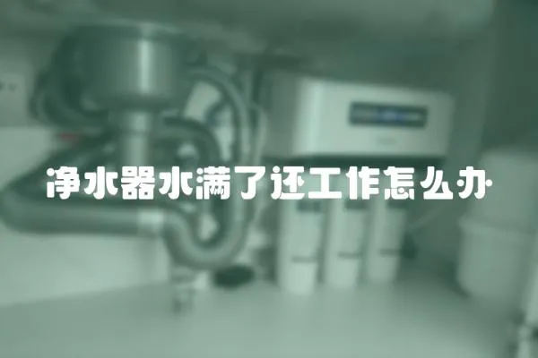 凈水器水滿了還工作怎么辦
