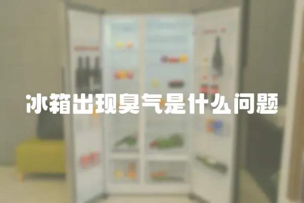 冰箱出現(xiàn)臭氣是什么問題