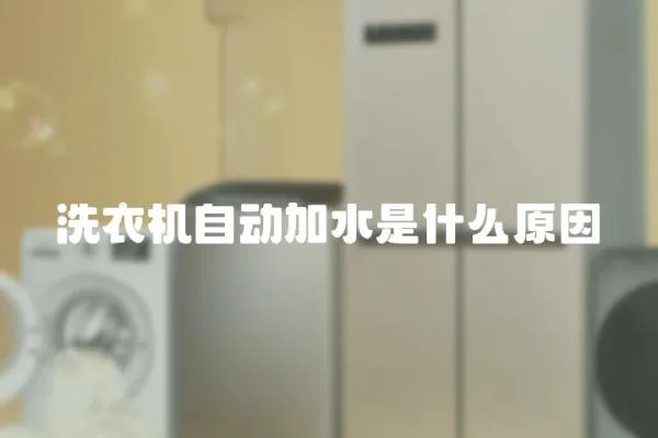洗衣機自動加水是什么原因
